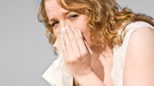 Got Allergens? Get Answers.