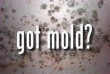 Health Tip: Take Care of Mold Problems